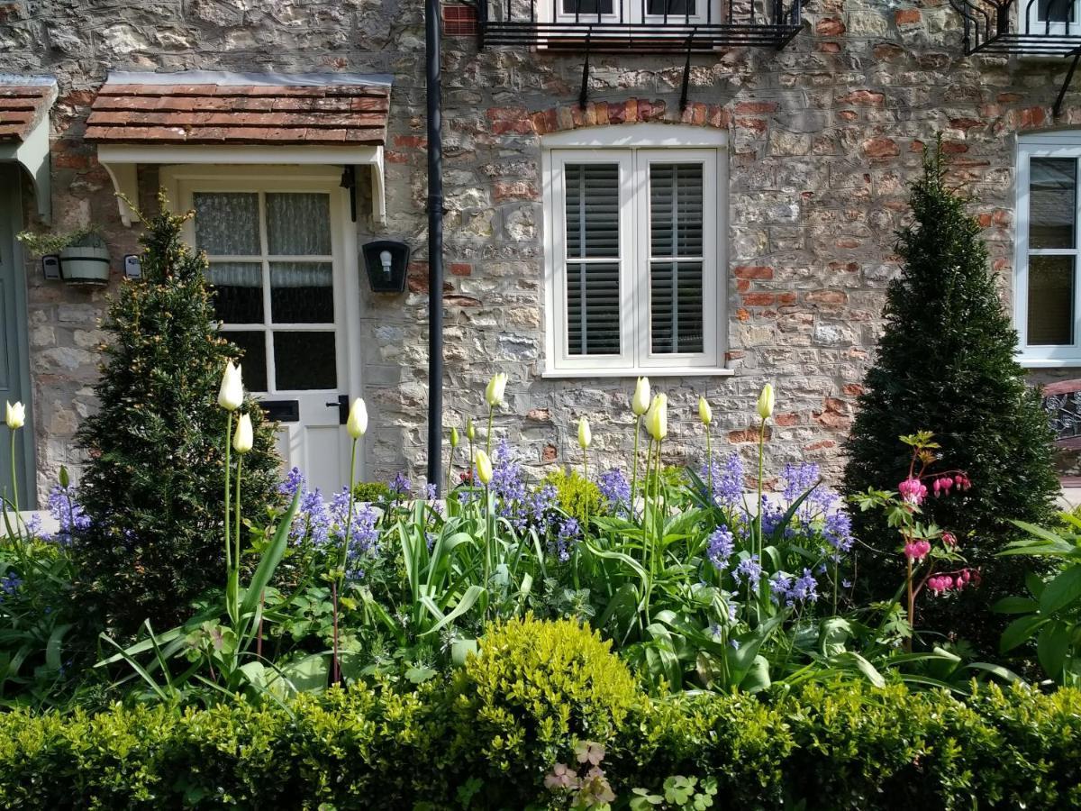 St Etheldreda'S Cottage, Wells, Somerset מראה חיצוני תמונה